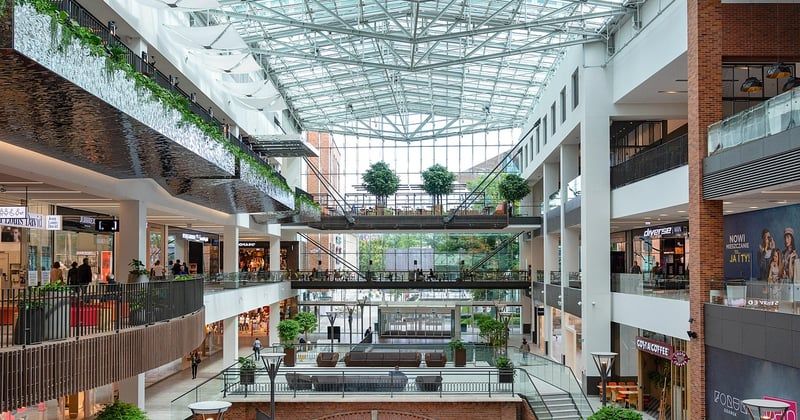 Construire une marque forte avec un petit budget : les stratégies qui marchent